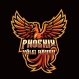 Phoenix Vôlei Bauru